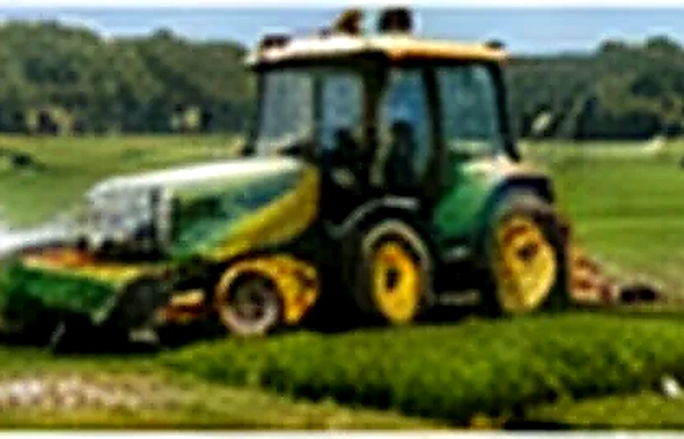 Grande área rural coberta com Grama Batatais