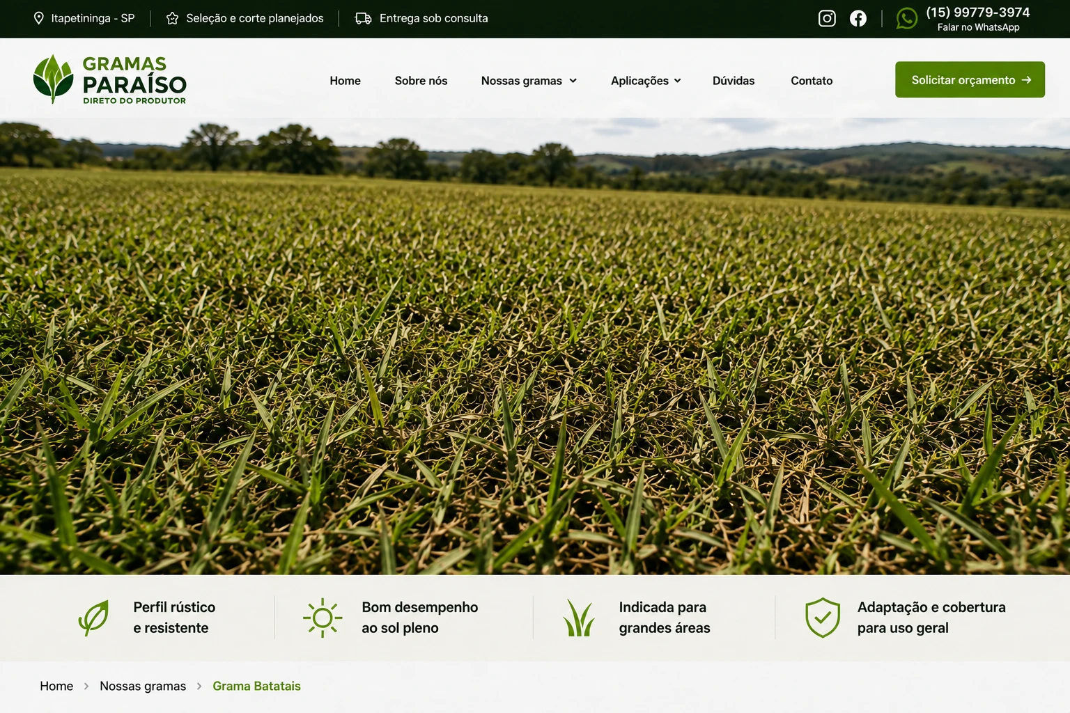 Grama Batatais em grande área