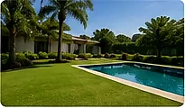 Casas de praia com Grama Santo Agostinho