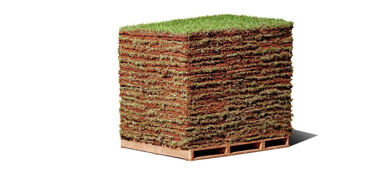 Palete de grama esmeralda em placas